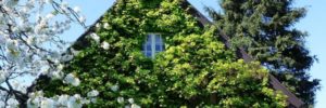 El Gran Viaje | House Sitting, otra alternativa para no gastar en alojamiento image 2