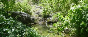 El Gran Viaje | 13 Cosas para hacer en Merlo, San Luis (sin gastar una fortuna) image 17