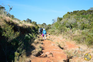 El Gran Viaje | Visita a los Parques Nacionales Aparados da Serra y Da Serra Geral image 10