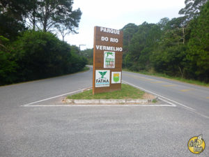 El Gran Viaje | 25 Cosas para hacer en Florianópolis image 7