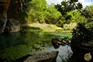 El Gran Viaje | 10 Lugares para conocer en Chapada Diamantina image 8