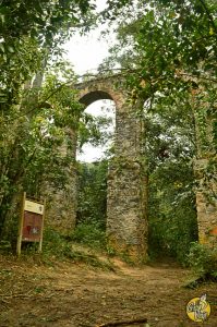 El Gran Viaje | Ilha Grande, la isla misteriosa image 3
