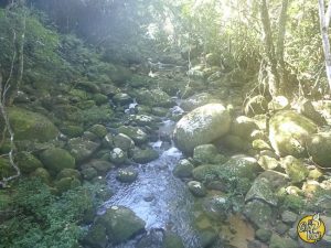 El Gran Viaje | Ilha Grande, la isla misteriosa image 10