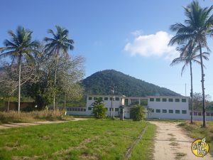 El Gran Viaje | Ilha Grande, la isla misteriosa image 11