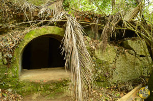 El Gran Viaje | Ilha Grande, la isla misteriosa image 24