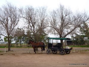 El Gran Viaje | Visitando la colonia menonita de La Pampa image 6
