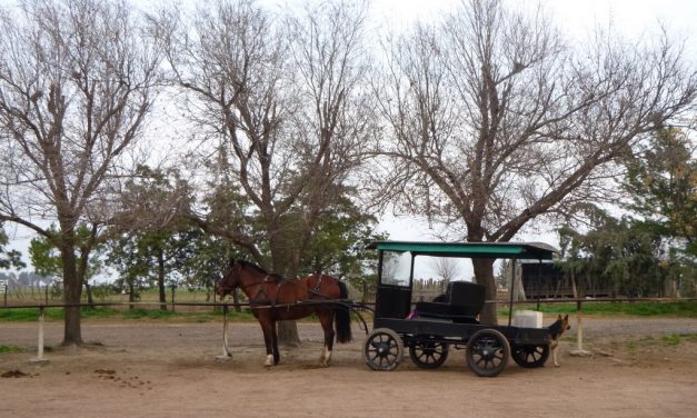 Visitando la colonia menonita de La Pampa