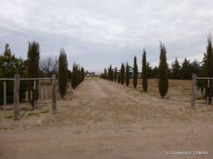 El Gran Viaje | Visitando la colonia menonita de La Pampa image 4