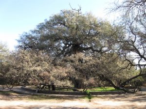 El Gran Viaje | 13 Cosas para hacer en Merlo, San Luis (sin gastar una fortuna) image 1