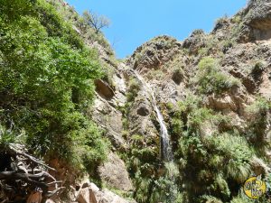 El Gran Viaje | 13 Cosas para hacer en Merlo, San Luis (sin gastar una fortuna) image 8