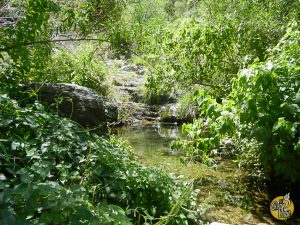 El Gran Viaje | 13 Cosas para hacer en Merlo, San Luis (sin gastar una fortuna) image 9