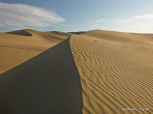 El Gran Viaje | A contramano en el Desierto de Ica image 5