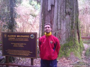 El Gran Viaje | Conociendo el Parque Nacional Los Alerces image 13