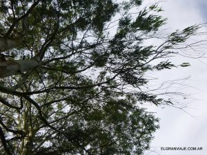 El Gran Viaje | Guía práctica para conocer Punta Indio image 4