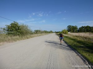 El Gran Viaje | Guía práctica para conocer Punta Indio image 15