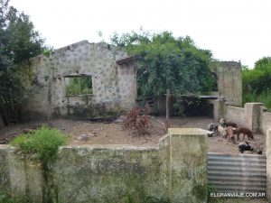 El Gran Viaje | Guía práctica para conocer Punta Indio image 7