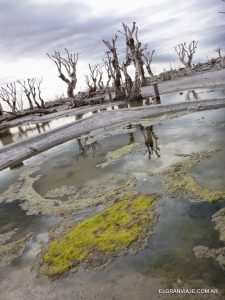 El Gran Viaje | Conociendo las Ruinas de Villa Epecuén image 8
