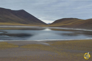 El Gran Viaje | Nuestro paso por San Pedro de Atacama image 4