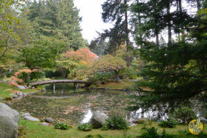 El Gran Viaje | Fotopost de Vancouver image 11