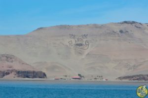El Gran Viaje | Nadar con lobos marinos en Lima image 4