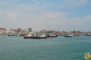 El Gran Viaje | Nadar con lobos marinos en Lima image 1