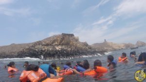 El Gran Viaje | Nadar con lobos marinos en Lima image 5