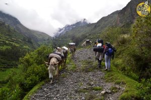 El Gran Viaje | Laguna Cococha, un secreto bien guardado en Áncash image 4