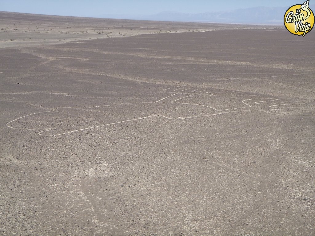 Que ver en Peru - 06 Lineas de Nazca