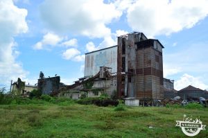 Guia de Surinam - Wageningen
