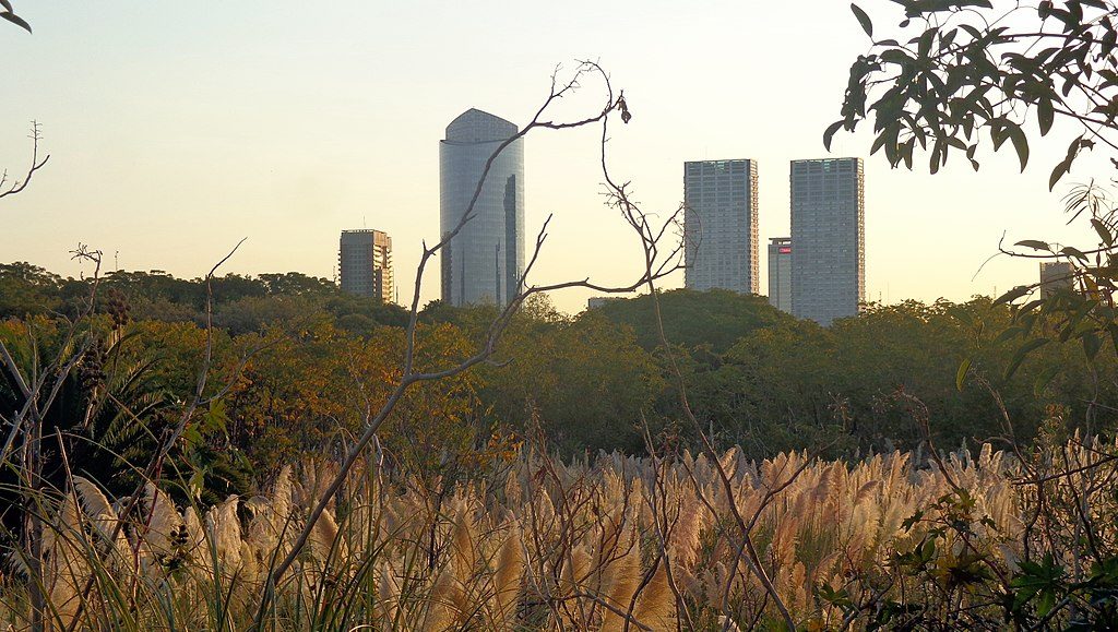 buenos aires reserva ecologica