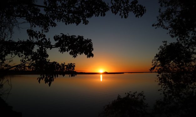 Guía de Esteros del Iberá, Corrientes